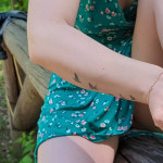 ���������� � ����������.