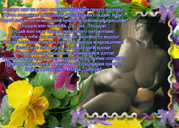 ����� ��������