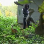 �� ����������