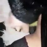 ����������� � ��������� #1.