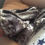 ��� ��������