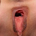 ������ ���������� �������.