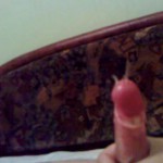 ���� �������