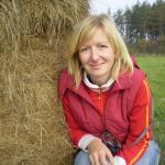 ���� �����