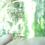 ������ ���� �