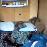 ����� �������� 2