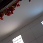 �������� ����� ��� �������