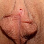 �������� ����������.