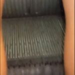 �� ����������