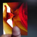 ����� �� ���� �������