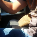 ���� ����� 2.