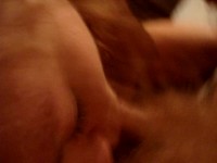 ������ �����