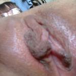 ����������� ���������