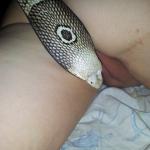 ������� ������ 2