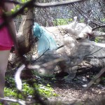 ������� ������ � ��������