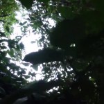 ������ �� ����������