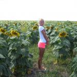 ��������� ������ � ����������