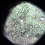 ����������� �� ��������