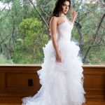 ������� ���������