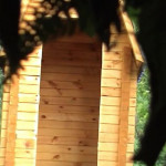 ������ ��� �����