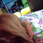 ��� ��� �� ���� ���