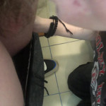 ������� ����� ���� �� �������