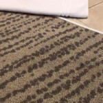 ��� �������� ����� �������