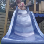 ������� �� ������� �����