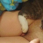 �������� ��������� � ��������