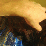 ��������� ����, ��������� ���� :)