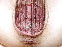 ������� ����, � ��������� ���������� 3.