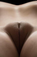 ������������ ������