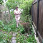 ������� ��������