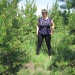 ������ ����������