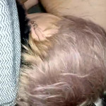 ��� ������� 63 ���� ������� � ������.