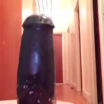 ������ ������ ����� ���� ������