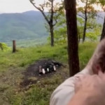 ������������ �� �����, ������ ����� 47 ���