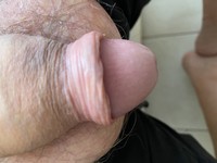 ����� �������