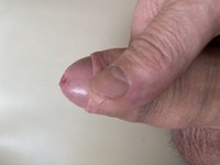 �������� ���������