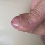 �������� ���������