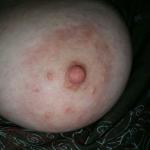 ���� ������