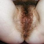 ���� ��������� ����.