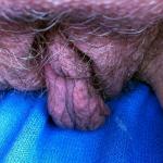 � ���� ���������� ���������.