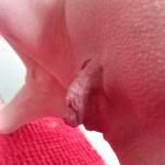 ���� ������������ ����.