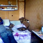 ���� �������