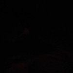 ������ �� �����