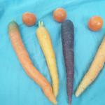 ������ � �������