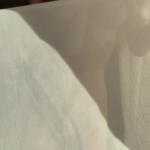 ����� ����