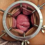 �������� ���� �����