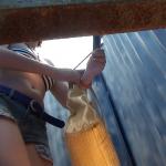 ������� �������2